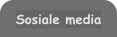 Sosiale media